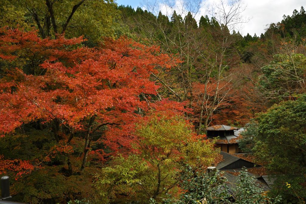 Oyado Hanabou Hotel Minamioguni Exterior photo