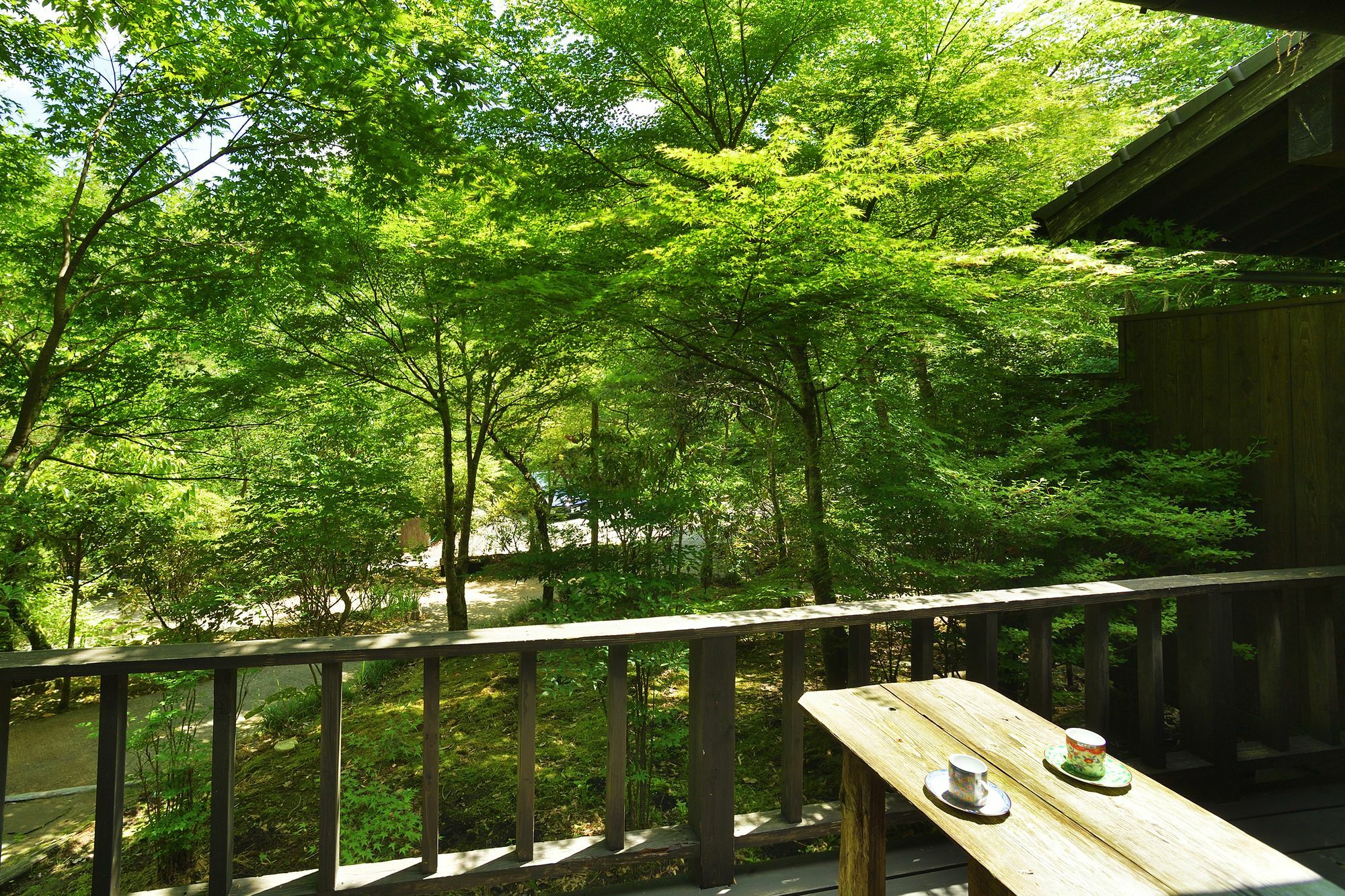 Oyado Hanabou Hotel Minamioguni Exterior photo